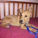 Photo of Cassidy(d1910)*Adopted*