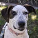 Photo of Macy