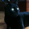 Photo of Jet