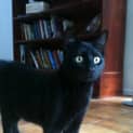 Photo of Jet