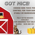 Photo of Mousers