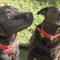 Photo of Abbey And Olive