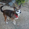 Photo of Lucky