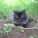 Photo of Kieran