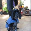 Photo of Crystal