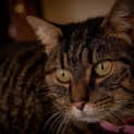 Photo of Marcy