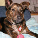 Photo of Abby