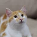 Photo of Max