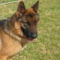Photo of Cooper On Trial With Is New Family
