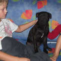 Photo of Cadbury *Adoption Pending*
