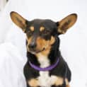 Photo of Turbo