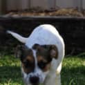 Photo of Jungle(d2027)*Adopted*