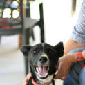 Photo of Tigger
