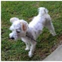 Photo of Patrick (Paddy)