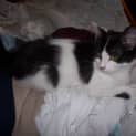 Photo of Bill
