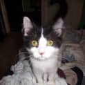 Photo of Bill
