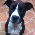 Photo of Winnie (On Trial)