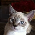 Photo of Jedi