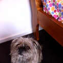 Photo of Lexi