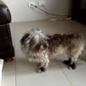 Photo of Lexi