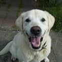 Photo of Max