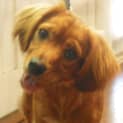 Photo of Lenny
