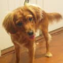 Photo of Lenny