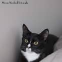 Photo of Jill (Hc090)