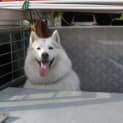 Photo of Sheena