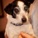 Photo of Meesha