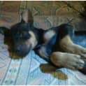 Photo of Blinky