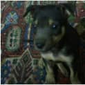 Photo of Bob