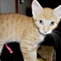 Photo of Jasper