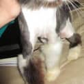 Photo of Missy