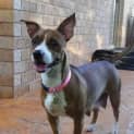 Photo of Macey(d2047)
