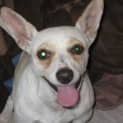 Photo of Milly Milly