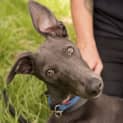Photo of Charles Id5687