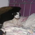 Photo of Timmy