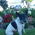 Photo of Ricky