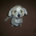 Photo of Sammy