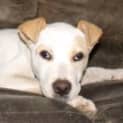 Photo of Molly
