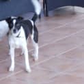 Photo of Baily