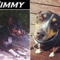 Photo of Jimmy