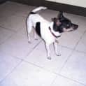 Photo of Jacko