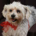 Photo of Gabby