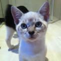 Photo of Max