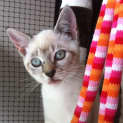 Photo of Max
