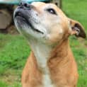 Photo of Lola