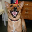 Photo of Gisele (On Trial)