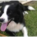 Photo of Bonnie